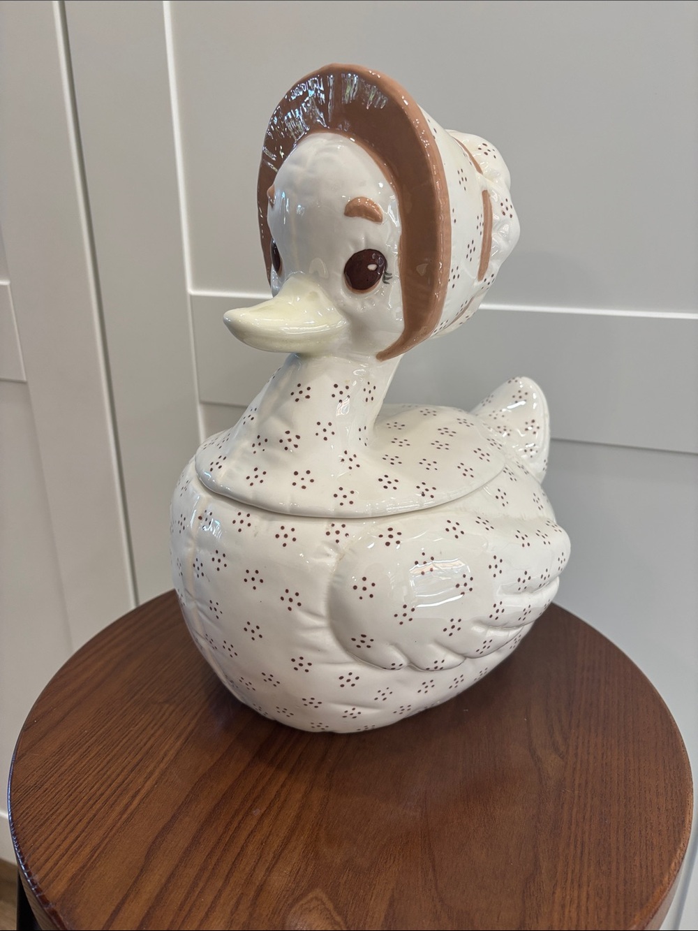 White Ceramic Duck Canister with Brown Accent